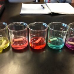 Diffusion and osmosis ap bio lab