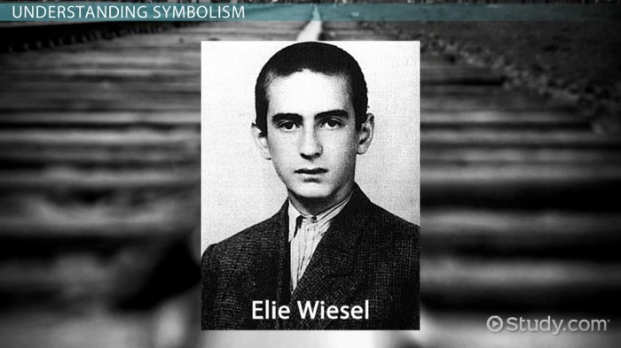 Essay about the book night by elie wiesel