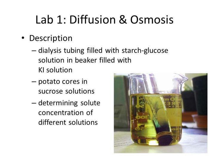 Lab osmosis results diffusion bio ap 1b