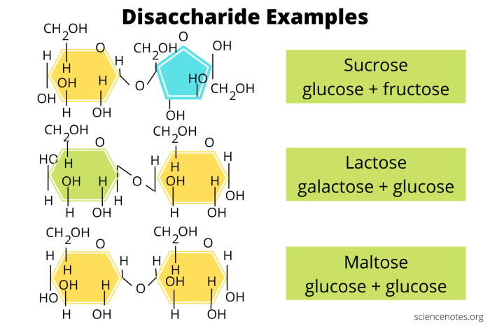 Identify disaccharides that fit each of the following descriptions