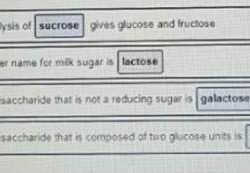 Identify disaccharides that fit each of the following descriptions