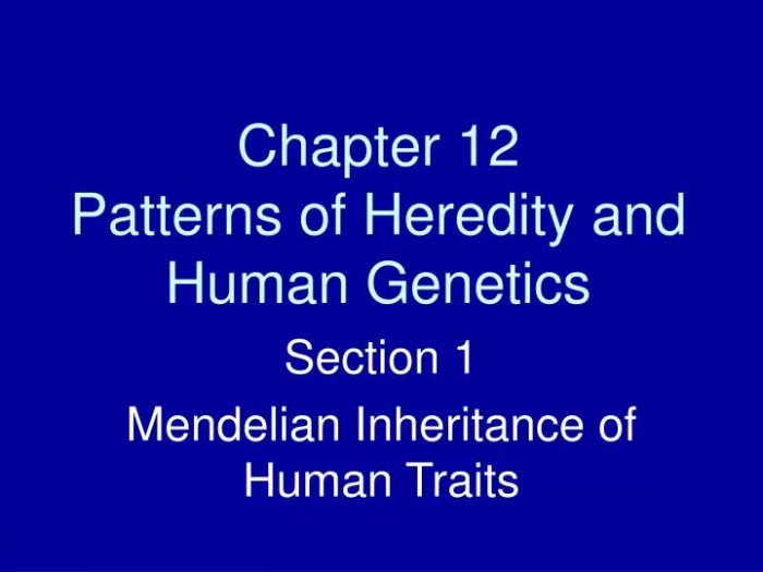 Chapter 12 patterns of heredity and human genetics