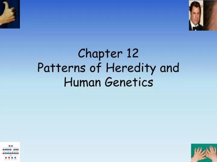 Chapter 12 patterns of heredity and human genetics