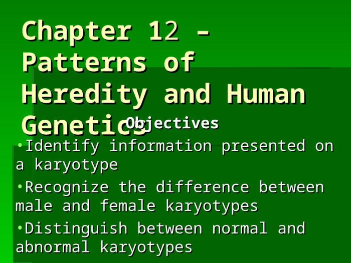 Inheritance genetics human patterns worksheet skills