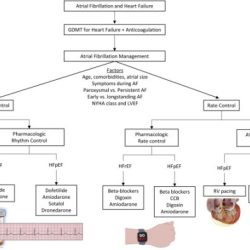 Study case fibrillation atrial failure heart quizlet evolve answers