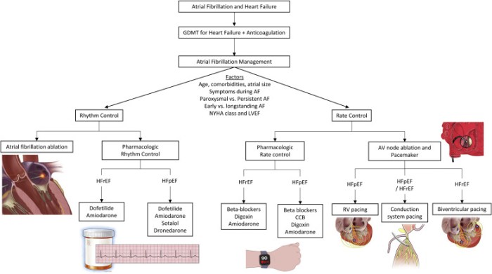 Study case fibrillation atrial failure heart quizlet evolve answers